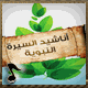 البوم اناشيد السيرة النبوية